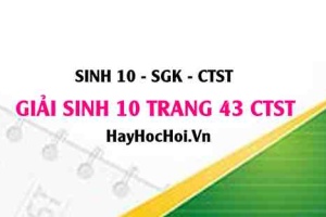 Giải Sinh 10 trang 43 Chân trời sáng tạo SGK